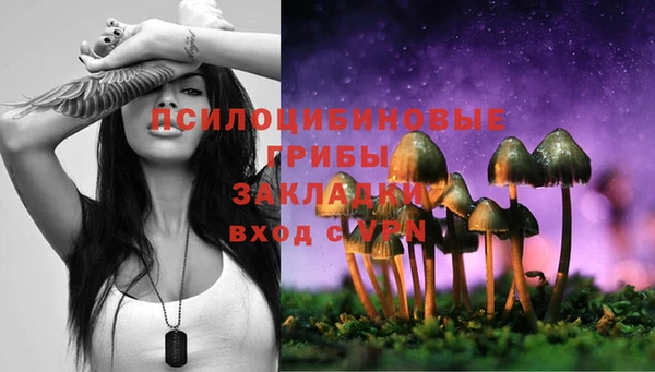 a pvp Аркадак