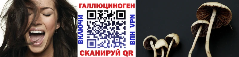 KRAKEN рабочий сайт Лысково Галлюциногенные грибы MAGIC MUSHROOMS